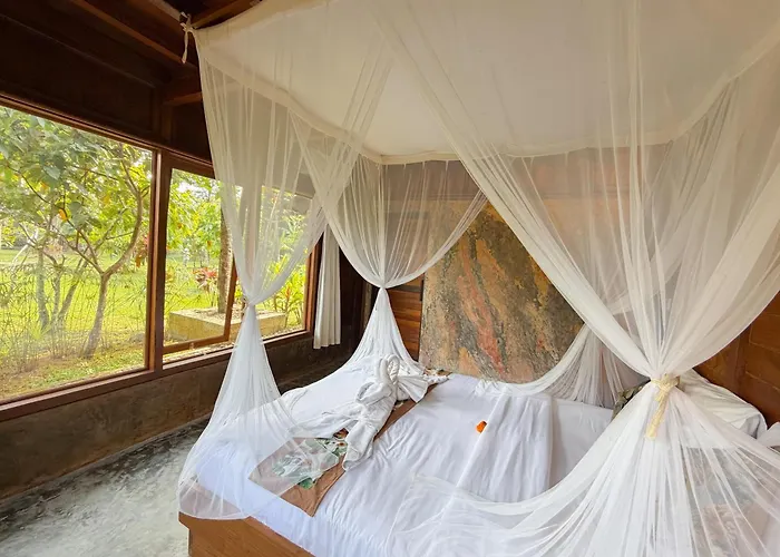 Risky ロッジ